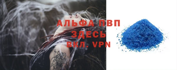 ECSTASY Грязи