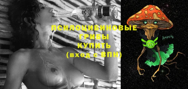 альфа пвп Нязепетровск