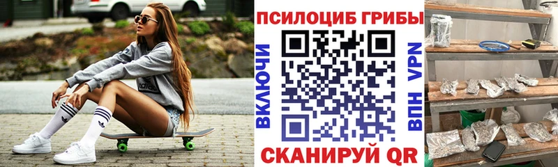 blacksprut зеркало  Звенигово  Галлюциногенные грибы MAGIC MUSHROOMS 